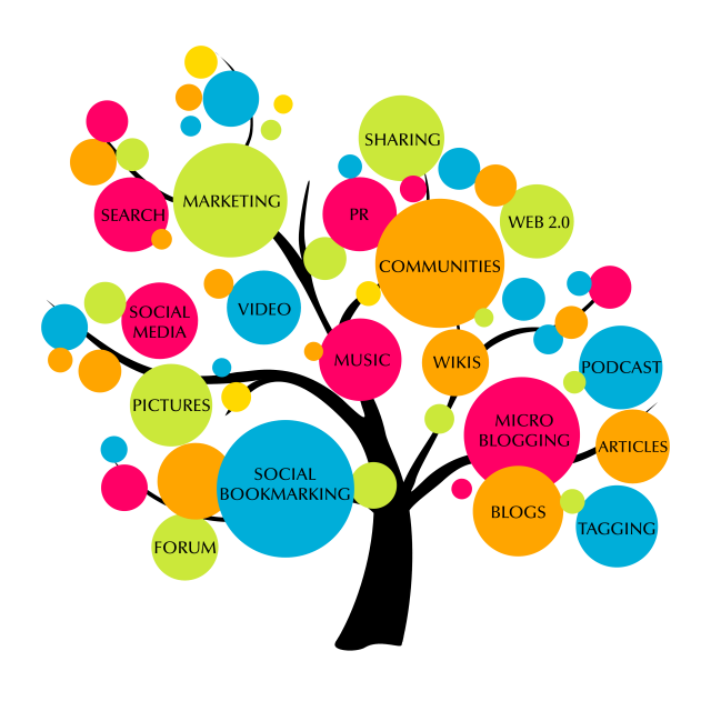 seo website ranking tool