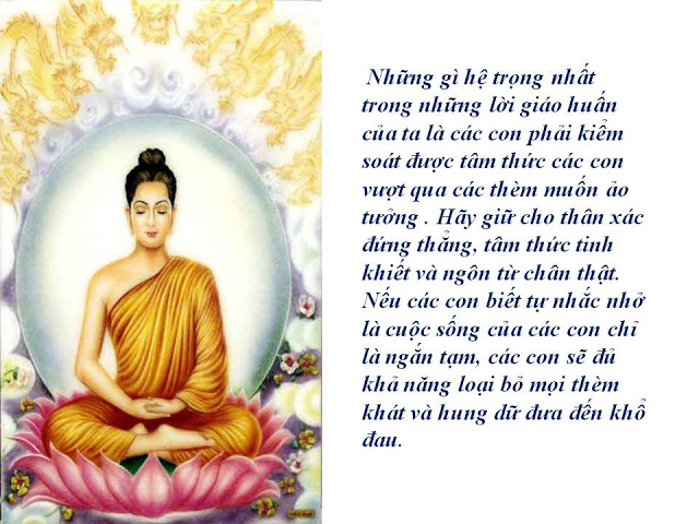 Tin Phật Là Người Giác Ngộ Hoàn Toàn