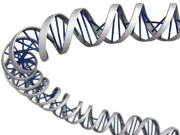 Khoa Học Tâm Linh - DNA Bị Ảnh Hưởng Bởi Từ Và Tần Số Phần 2