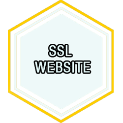 SSL website