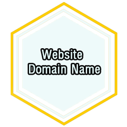 Website domain name